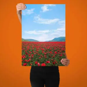 Bild der Kategorie Poster drucken - Fotoposter bestellen auf BILDER EXPRESS ?⚡