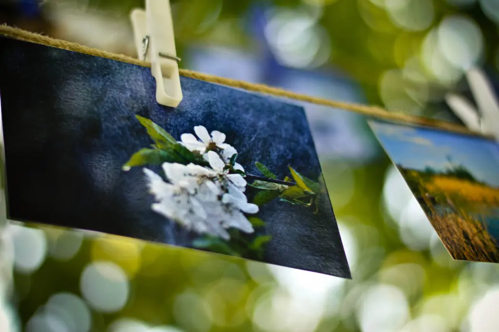 Fotoabzüge in hoher Qualität online bestellen